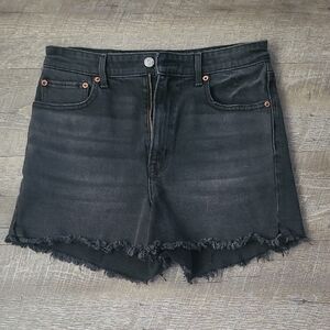 American Eagle Outfitters Dark Wash Jean Shorts